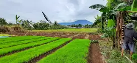 Dijual tanah luas subur tepi jalan view keren dekat kota
