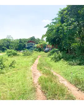 TANAH CIKEUSAL SERANG FULL TEMBOK - AKSES KONTAINER 40 FT