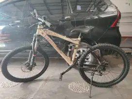 Polygon fullsus