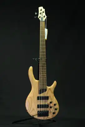 Cort B5 Element OPN 5 String Bass