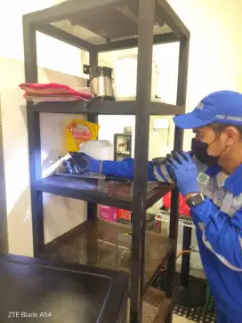 ANTI RAYAP & PEST CONTROL