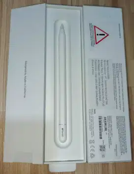 Pen stylus ipad gen 10