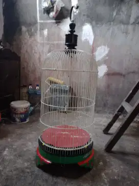 kandang lb biasa layak pakai