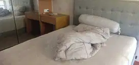 0781 - Dijual Apartemen Icon Mall Gresik 1BR Tower A lantai 11 Furnish