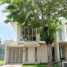 DISEWAKAN RUMAH MINIMALIS PAKUWON INDAH SEMI FURNISHED