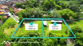 Prime Land Opportunity in Kerobokan