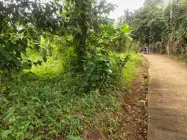 Di Jual Kebun Cocok Untuk Rumah Kebun