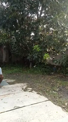 dijual Medan Baru jalan Sei Batu Gingging Psr 10