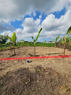Land for Rent in tumbak bayuh view rice fiel