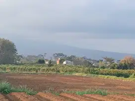 Tanah Merjosari Kota Malang Cocok Bangun Rumah