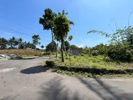 Jual BU Cepat, Tanah Barat Kopi Klotok Jogja