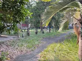 TANAH KAVLING KOMERSIL DI JALAN RAYA SERPONG