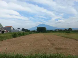 Tanah Murah Merjosari Cocok untuk Kosan Elite Dekat UIN Malang