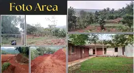 Di Jual Tanah Ciseeng, Bogor - Jawa Barat