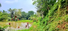 Dijual tanah 2000 m2 di Pupuan dkt Tegallalang Gianyar Bali