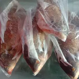 GURAME SEGAR FROZEN SUDAH BERSIH