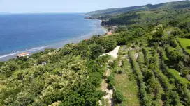 Tanah Cocok Untuk Investasi di Nusa Penida Bali