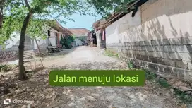 dijual tanah dekat perumahan beranda bukit Kutuh Badung Bali