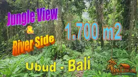 Mix Flat and Sloping land for Sale by the River in Bedulu