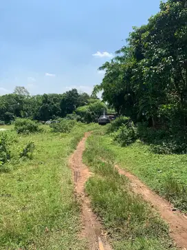 Tanah Dijual Cepat Di Cikeusal, Serang, Banten
