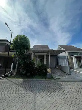 Rumah Di Golf Avenue Citraland Surabaya Barat