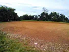 Dekat Terminal Cileungsi. Tanah Kavling Cicil 12X Non Bunga SHM pasti