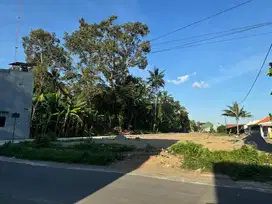 Jual Murah Tanah Jogja, Dekat Sekolah SD Budi Mulia