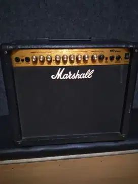Marshall mg30dfx