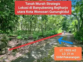 Jual tanah murah di Bejiharjo utara kota Wonosari Gunung Kidul