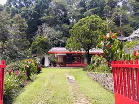 Villa Asri Siap Huni di Puncak Cianjur, Investasi Menguntungkan!