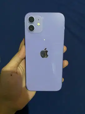 Iphone 12 purple 64gb Ibox