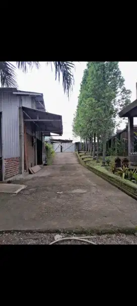 Dijual tanah serta bangunan