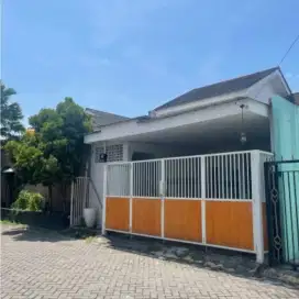 Rumah Sidoarjo Kota CITRA CITY RESIDENCE SARIROGO Siap Huni Murah BU