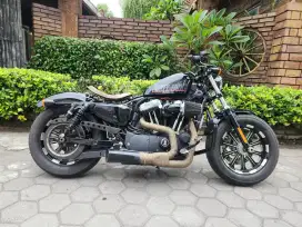 Harley Davidson sportster 48 2014 forty eight  mabua full paper