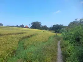 LAND FOR SALE IN CEMAGI BADUNG