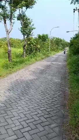 dijual tanah di pasuruan 8ha. bagus utk perumahan. 150ribu/meter