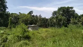 Tanah Strategis 3200m2 di Kedungu Tabanan, Cocok untuk Villa