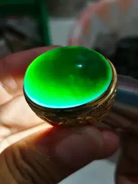Bacan Jumbo Cokelat HQ