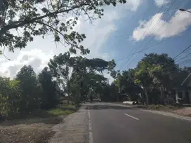 Di jual tanah 10 are pinggir jln raya bis penujak