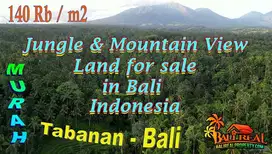 12,980 m2 with Jungle view bordered by small river in Penebel