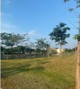 D jual kavling golf island sonata