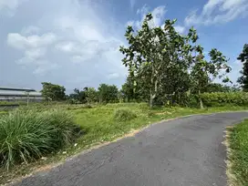 Jual Tanah Pekarangan Kaliurang Sleman, Tepi Jalan