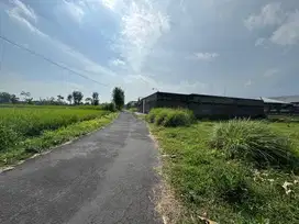 Tanah Murah Ngaglik Sleman, Lingkungan Asri