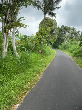 Dijual Sebidang Sawah Lokasi Desa Baru Kecamatan Marga Tabanan