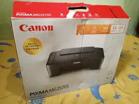 Printer Canon mg2570s