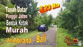 Affordable 82.300 sqm in Jembrana Dry Land ready to Build
