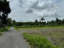 Tanah Belakang Kampus UII Jogja, Prospek Bangun Homestay