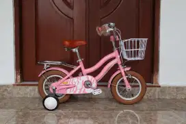 Mini 12 Element Bike Tiramisu