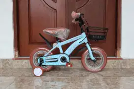 Mini 12 Element Bike Coyote