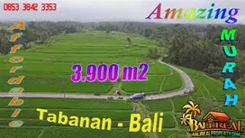 Semi L shaped Land for Sale 3,875 m2 in Tabanan Bali